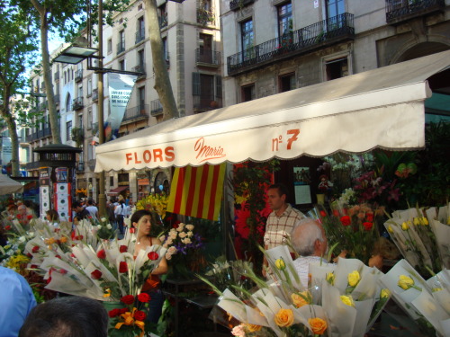 emptystreetriot:Happy Sant Jordi’s day! It’s the day of books, flowers and lovers in Barcelona, and 