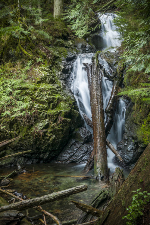 Photography by Visioni ItalianeLocation: Lake 22 path, Cascade Mountains, WA, USA If you enjoy 