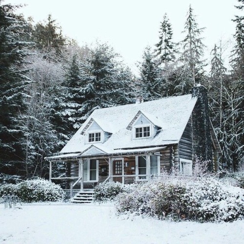 XXX oldfarmhouse:  Holiday Cabin  Pinterest • photo