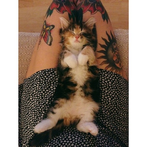 yellunz: This is just the beginning.