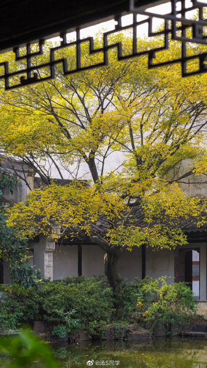 fuckyeahchinesegarden: huishan guzhen惠山古镇, wuxi, jiangsu province by 汤S同学