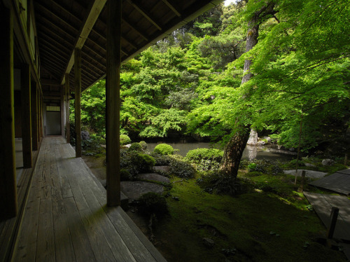 fuckyeahjapanandkorea:  Rengeji@Kyoto, Japan by -sou-  
