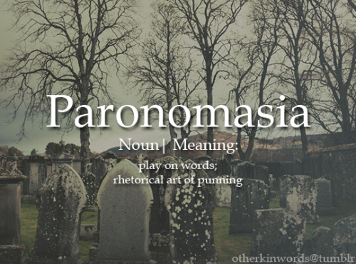 otherkinwords:Paronomasianoun | play on words; rhetorical art of punning 