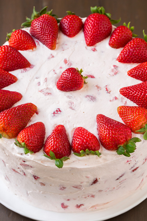 Porn Pics do-not-touch-my-food:  Strawberry Cake