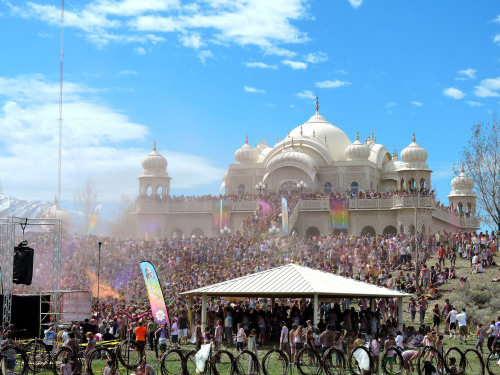 Color Fest 2015 rocked my socks.                   