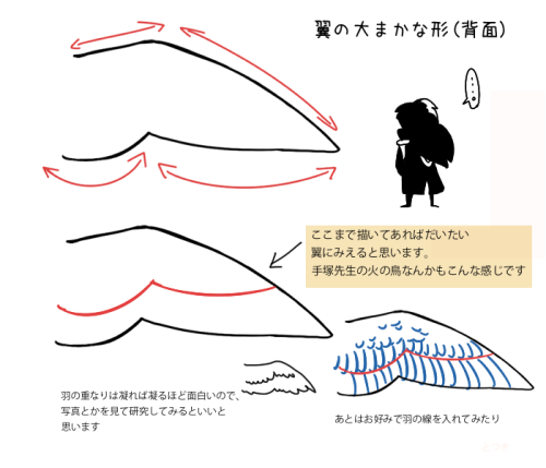 digiartlab: 鳥やタカを描いてみよう How to Draw Birds 