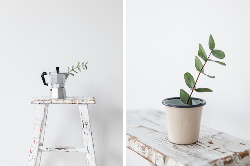 willhuntgoods:  A coffee morning with Falcon x Merci enamelware and spring foliage. CEREAL Magazine 