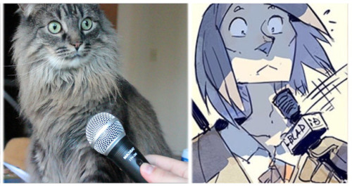 I Suppose, Every Fan Of The Stand Still. Stay Silent Webcomic Thought Of EXACTLY THIS Cat Today XD