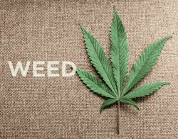 prestonborne:  Always Smokin’ The Green Goodness! .. Oh Yess 