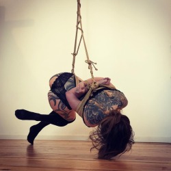 justscreenshots:  Shibari &amp; Photo  AntonModel Gorgone