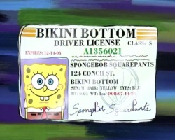 squiddleward:  happy 30th birthday spongebob!