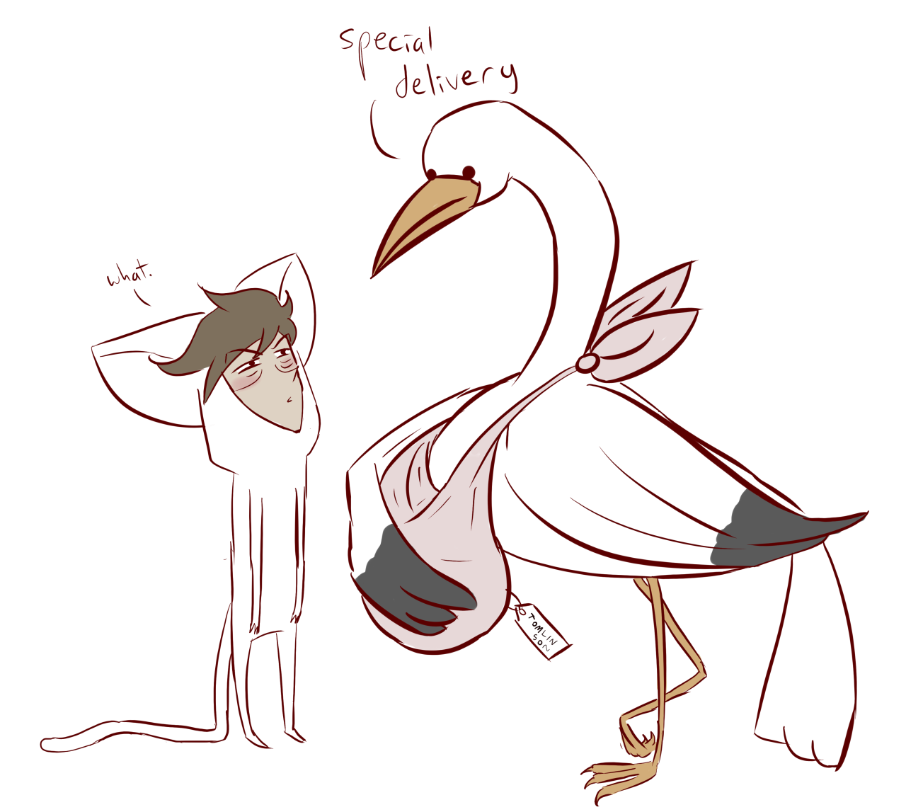 tippingvelvets:  what.  I love the TOMLIN SON