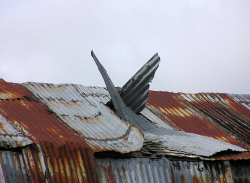 It’s all about one’s perspective. Do you see the angel wings in this old barn room? Phot