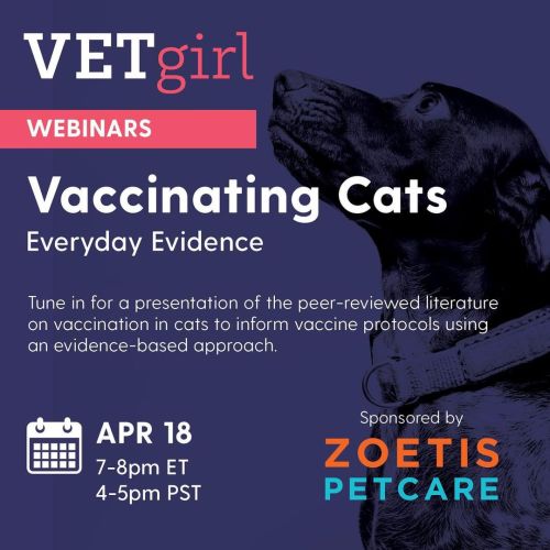 Join us for a free @vetgirlontherun @zoetispetcare webinar in just a few weeks!#vetmed #veterinari