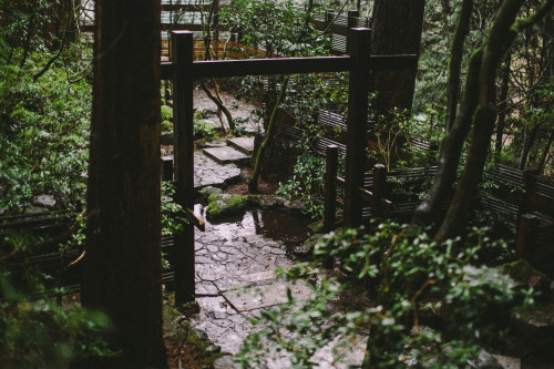 viα talltalememory: Portland Japanese Garden