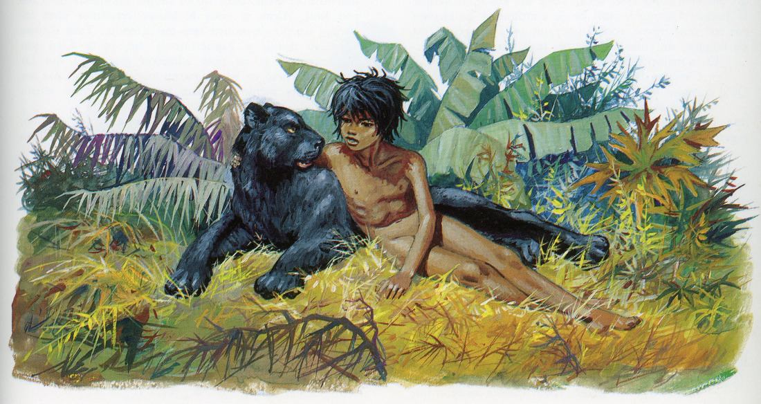 Illustrations pour le Livre de la Jungle, de Rudyard Kipling.