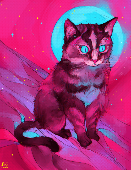 Some Of My Kitty Paintings From This Year (find My Art On Insta + Twitter + Inprnt + Twitch @jakeromanoart)watch