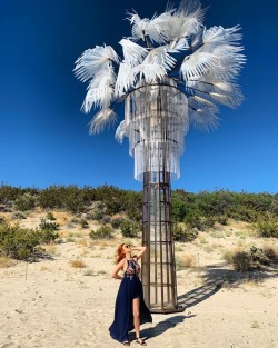 GHOST PALM BY KATHLEEN RYAN @_desertx  (at