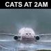 catasters: