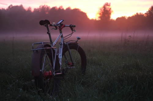 rt-co:  Taken by wheeldan.de