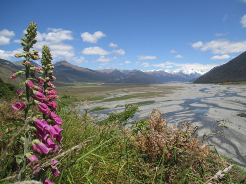 Arthur’s pass, New Zealand