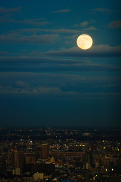 Eight-Crowns:  Full Moon (By Mrhayata) 