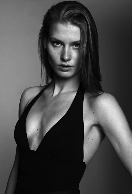 Elite-Model