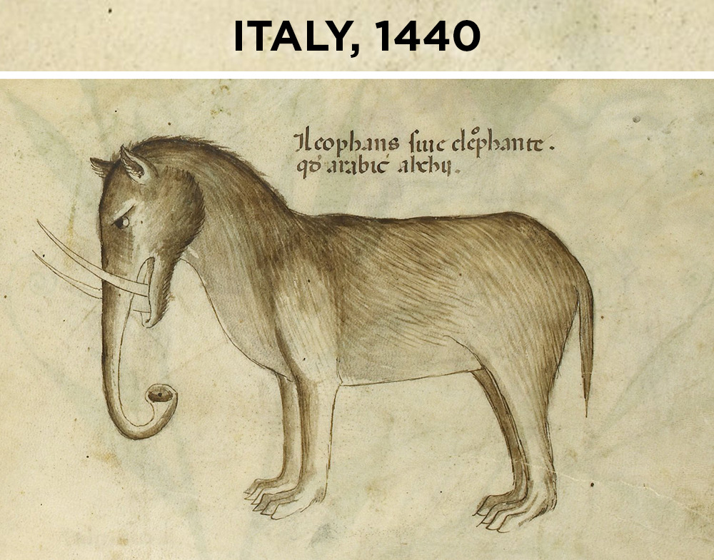 staff:  skunkbear:  One of my favorite animals, inexpertly rendered by centuries