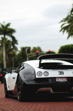 w-0nders:  Veyron | Credit 