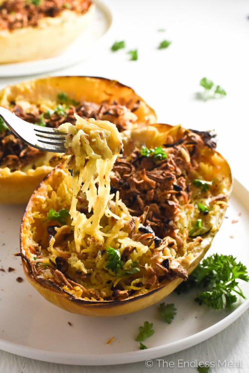 Vegan Spaghetti Squash Round UpRoasted Garlic &amp; Kale Spaghetti Squash With Sun-Dried Tomatoe