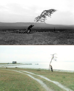 anthonycudahy:  BERGMAN/TARKOVSKY  