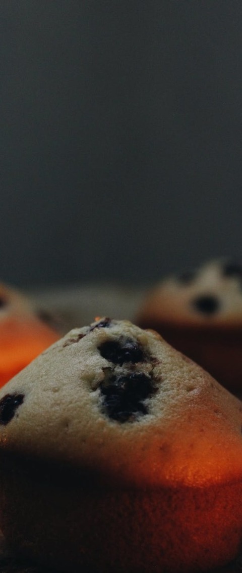 Muffin Recipe - Blueberry Streusel Muffins