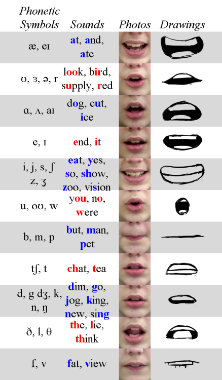 crazyhamlet:worldhero:worldhero:crazyhamlet:artist-refs:Phoneme Chart by TheEndIsNearUsThis is a nic