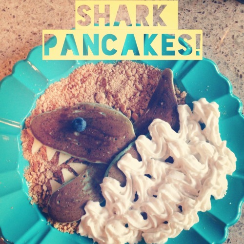You don’t have to head to the ocean to enjoy breakfast with the sharks.