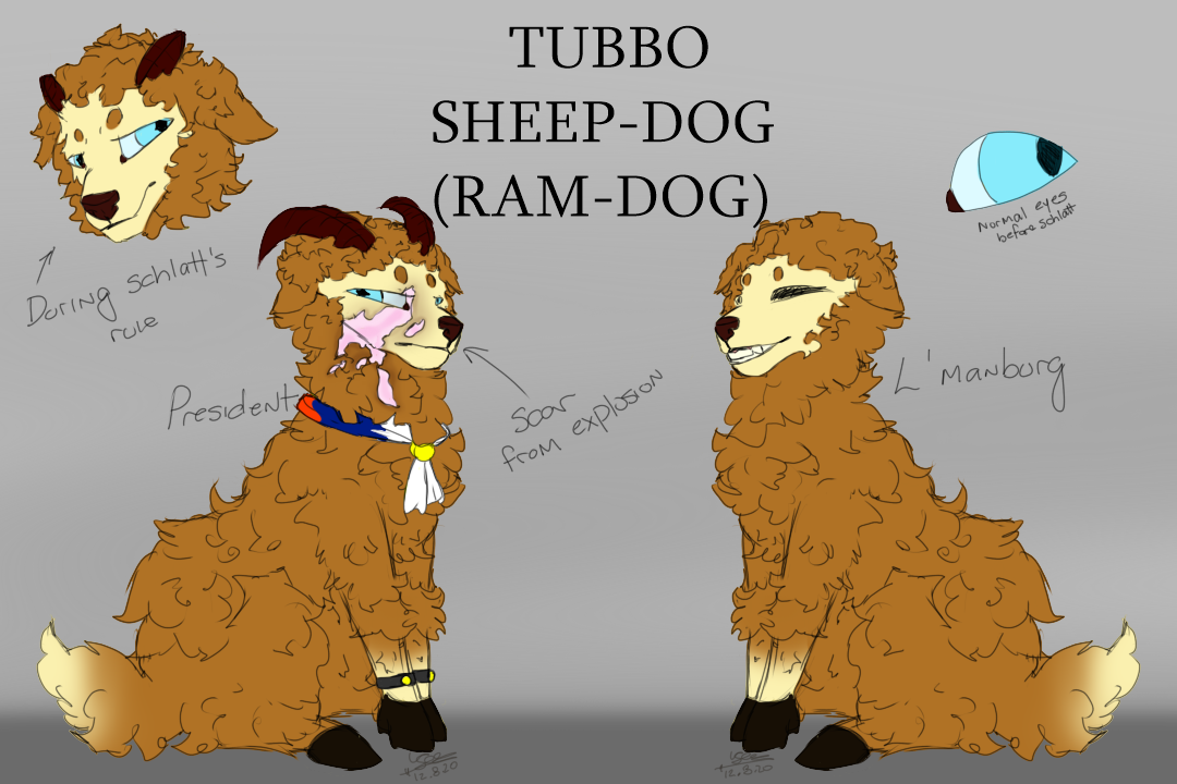 Tubbo Dog Name Meaning & Info - Drlogy