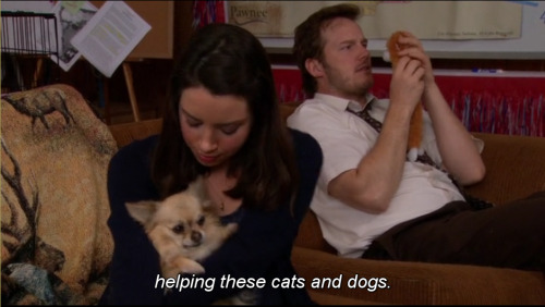 parksandrecthings: rustypipes-and-tigerstripes: I think Andy may have realised that his animal is of