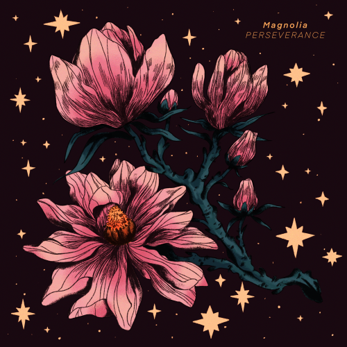 ✹ magnolia; perseverance