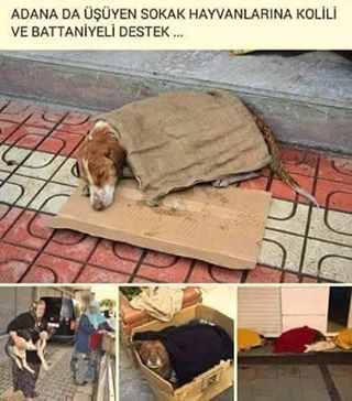 ADANA DA ÜŞÜYEN SOKAK...