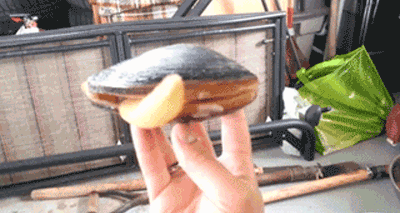 collegehumor:  not-thefunniestblog:  who does it better?   The dude up top…bieber.