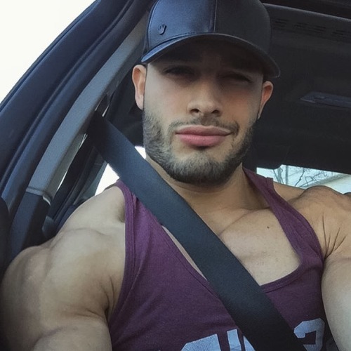 Adonis Files