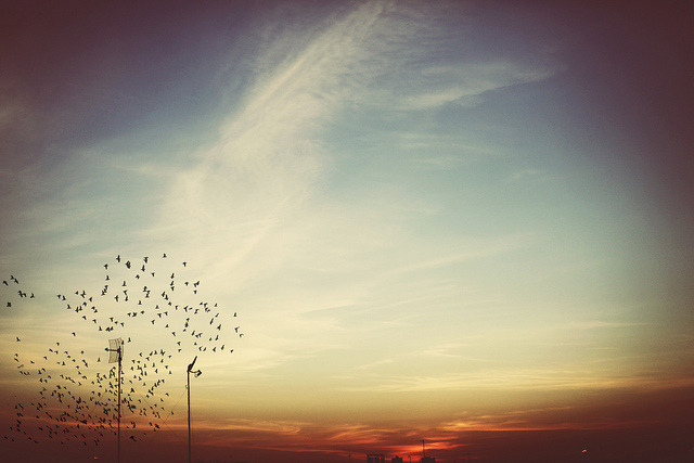 timefliestoday:  sem título by ange de l’amour on Flickr. 