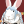 Tell me about the rabbits, George