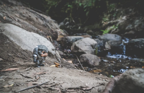 gentlemankrogan: pandasize is off in Vegas for a bachelorette party, so I took Grunt for a hike thro