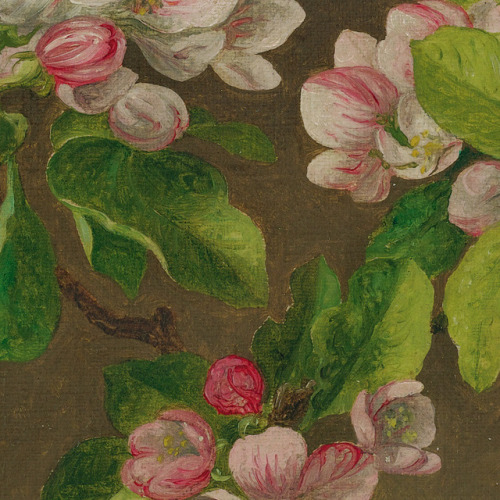 inividia:Apple Blossoms, 1880. Martin Johnson Heade