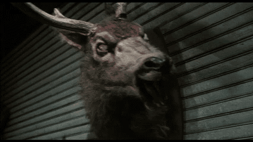 dollyleigh:  yeahsuregetmad:  the hell  I totally could not keep a straight face