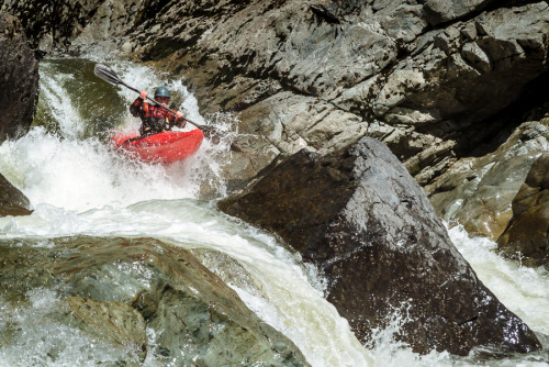 Dan Patrinellis dropping into Last Sunshine during the 2015 Robe Canyon kayak race.  Fast lines in t