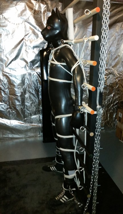 Rubber Gimp adult photos