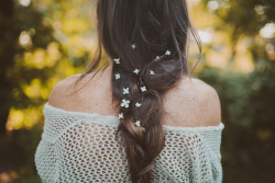 p0urtoujours:   nature/vintage blog  