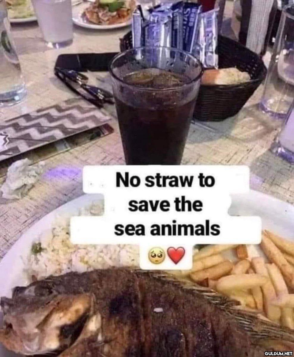 No straw to save the sea...