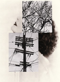 annalynnhammond: Straitjacket Paper collage by Annalynn Hammond 